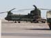 Chinook2