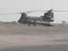 Chinook3