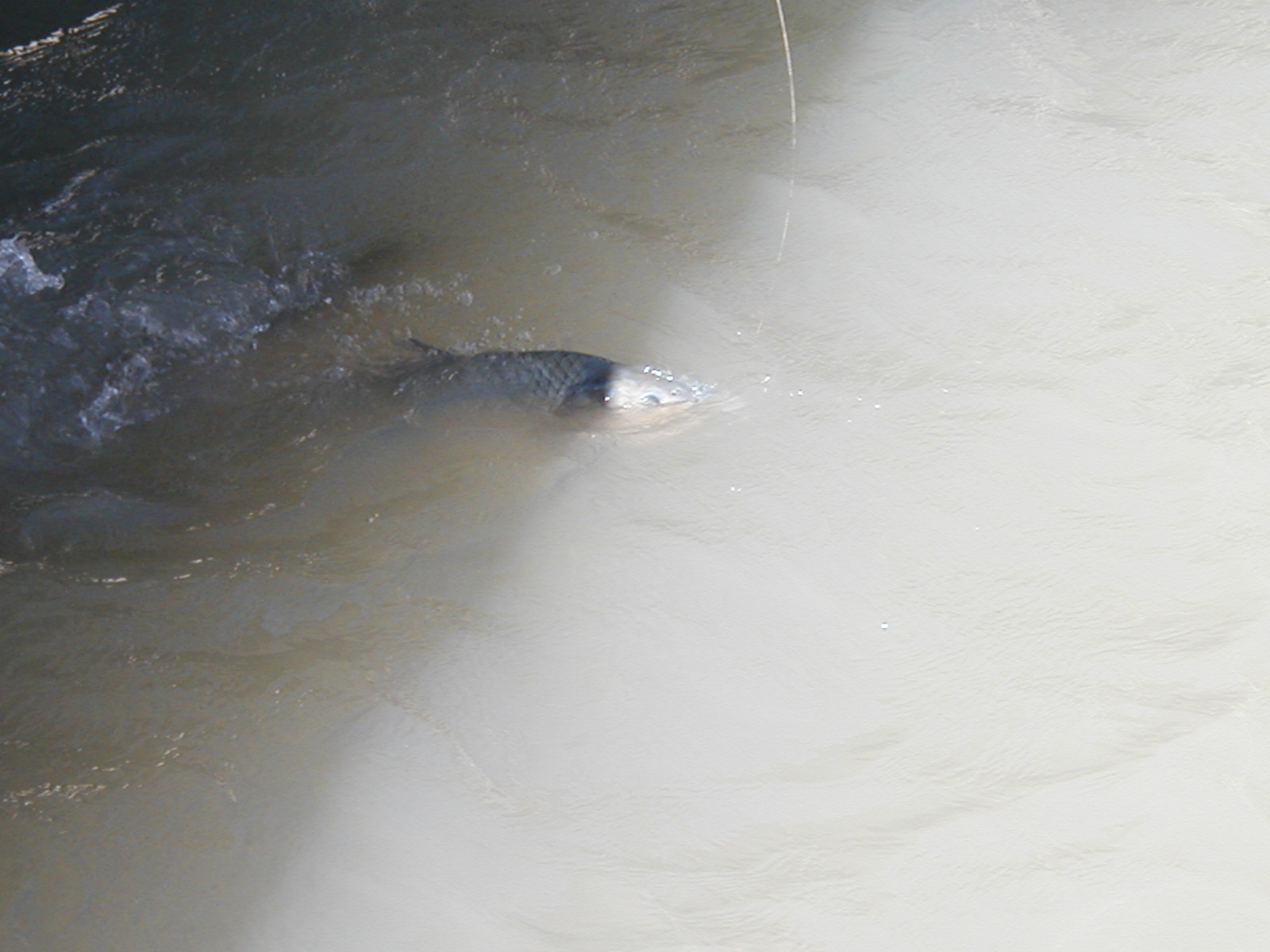 Fishing06