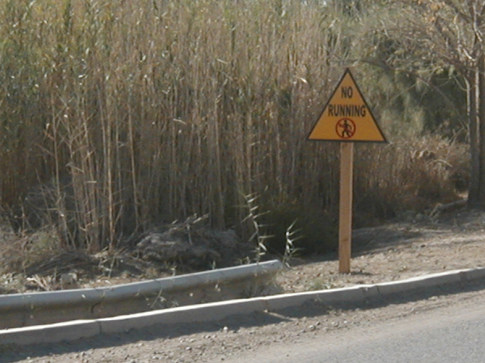 No running1