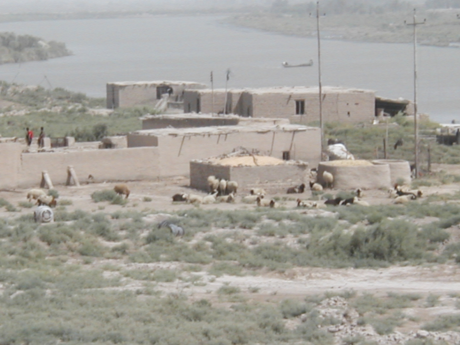 Euphrates14