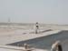 Dirt3