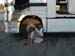 Scania trucker1