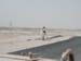 Dirt3