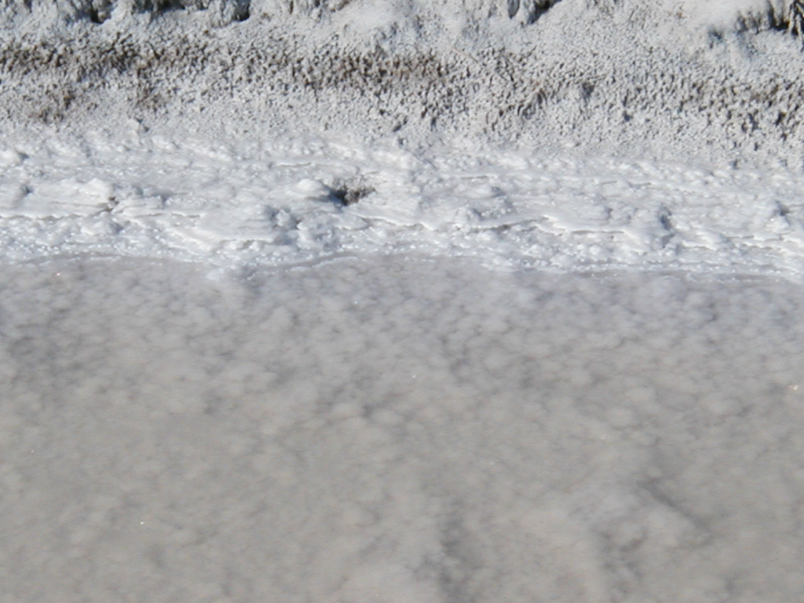 Salt05
