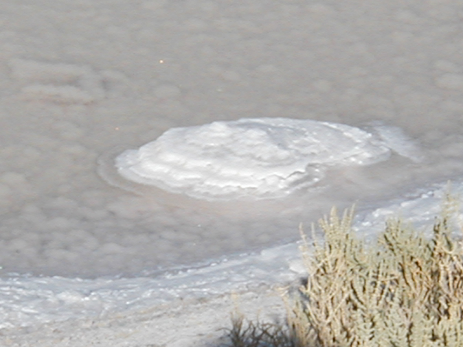 Salt07