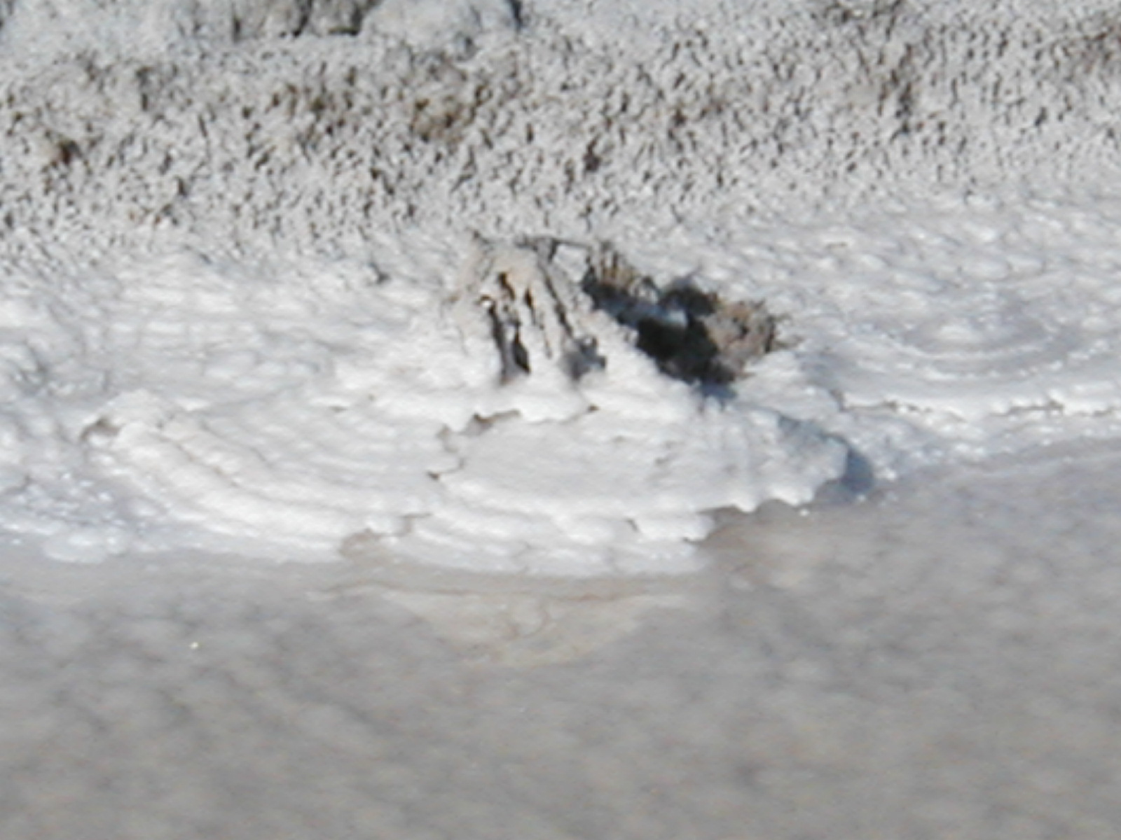 Salt08