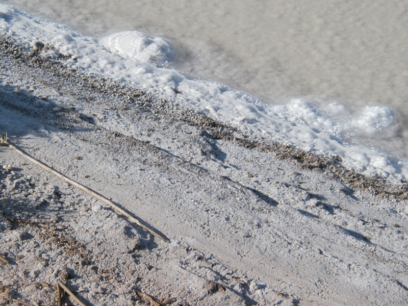 Salt02