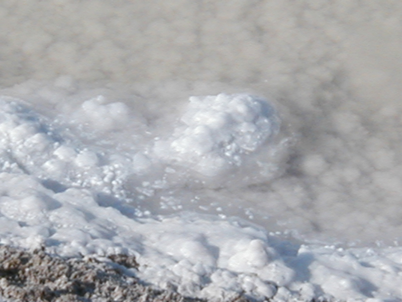 Salt04