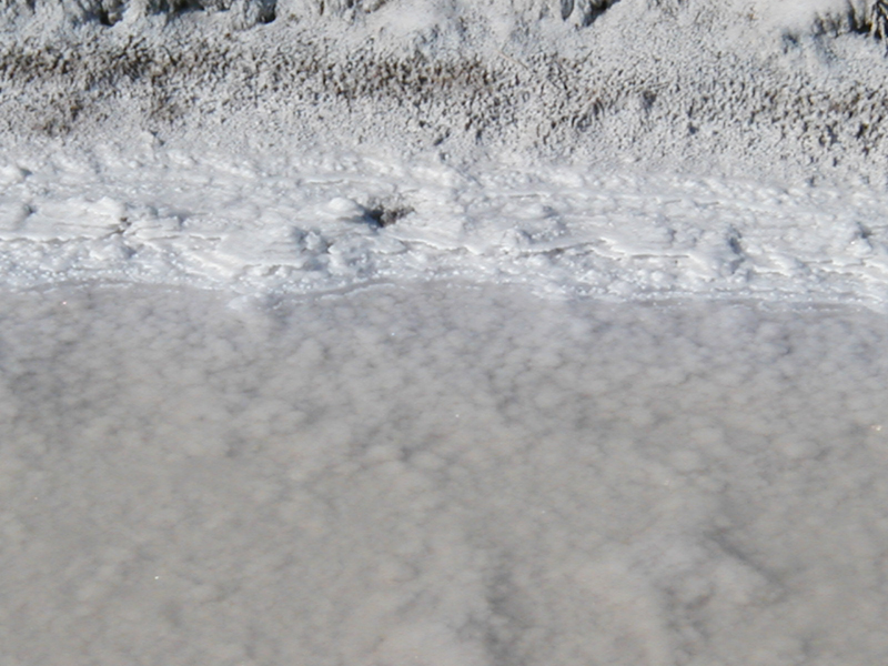 Salt05