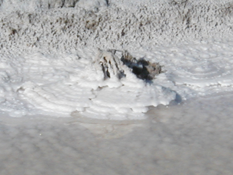 Salt08