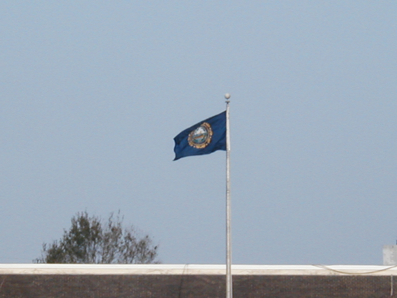 Flags1
